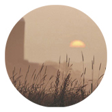 DAROUND 334 BZ Harvest Sunrise Bronze